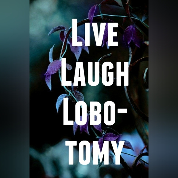 Fun Fashion - Picture 2 of 16